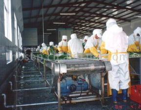 蔬菜加工設(shè)備生產(chǎn)線 供應(yīng)信息 食品科技網(wǎng)